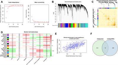 Integrated Analysis of Genes Associated With Immune Microenvironment and Distant Metastasis in Uveal Melanoma